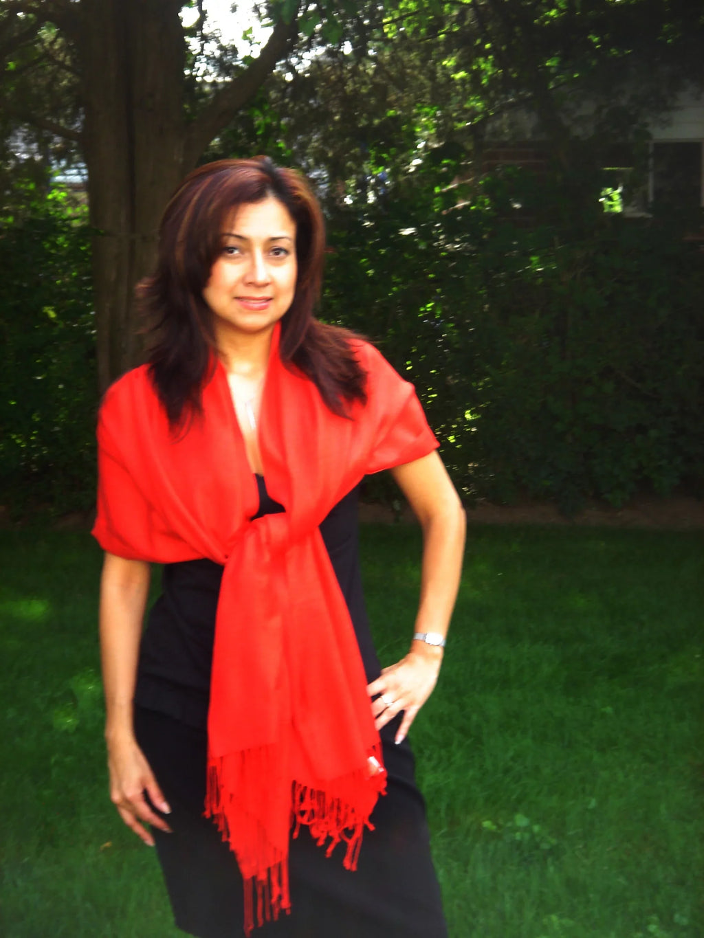 Scarf/Scarves/Shawl/Shawls/Stole/Wrap/Pashmina Scarf/Pashmina Shawl/Cashmere/Cashmere Scarf/Wool/Silk (Lipstick Crimson