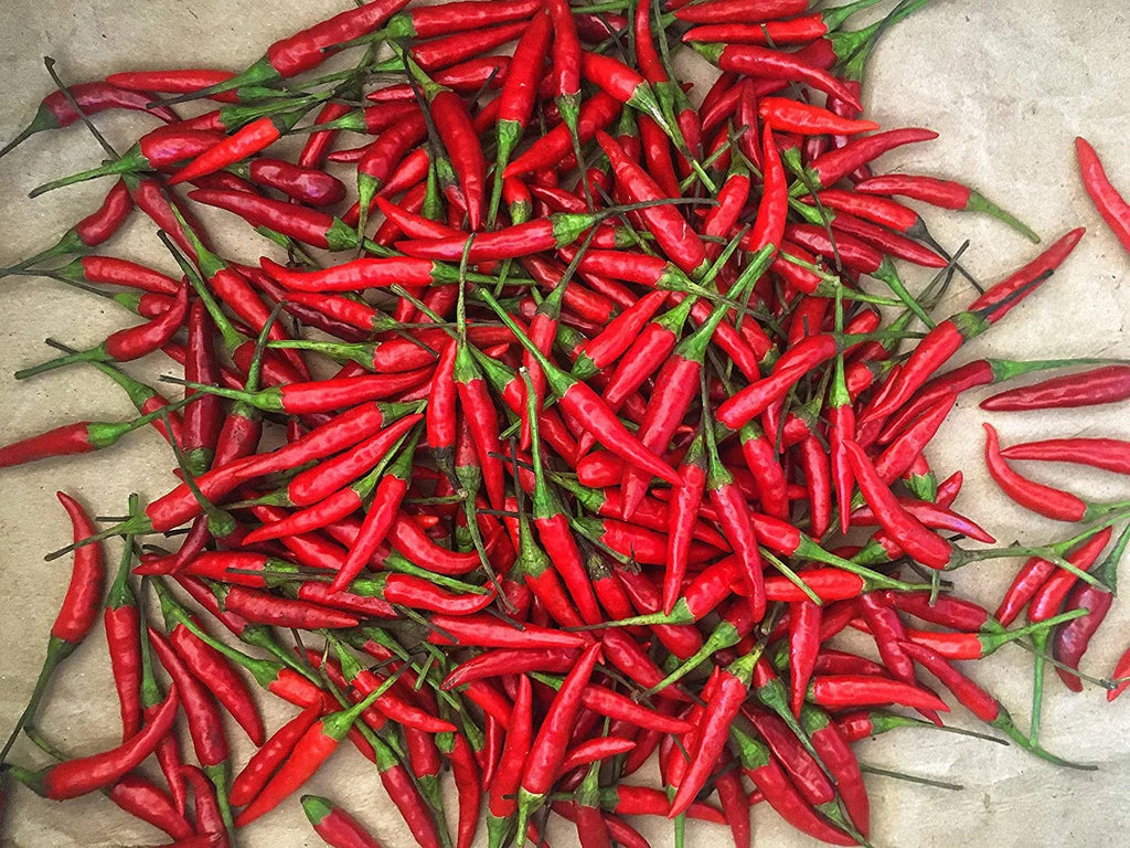 Fresh Crimson Thai Chili Peppers -1 Lb (16 oz)