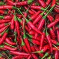 Fresh Crimson Thai Chili Peppers -1 Lb (16 oz)