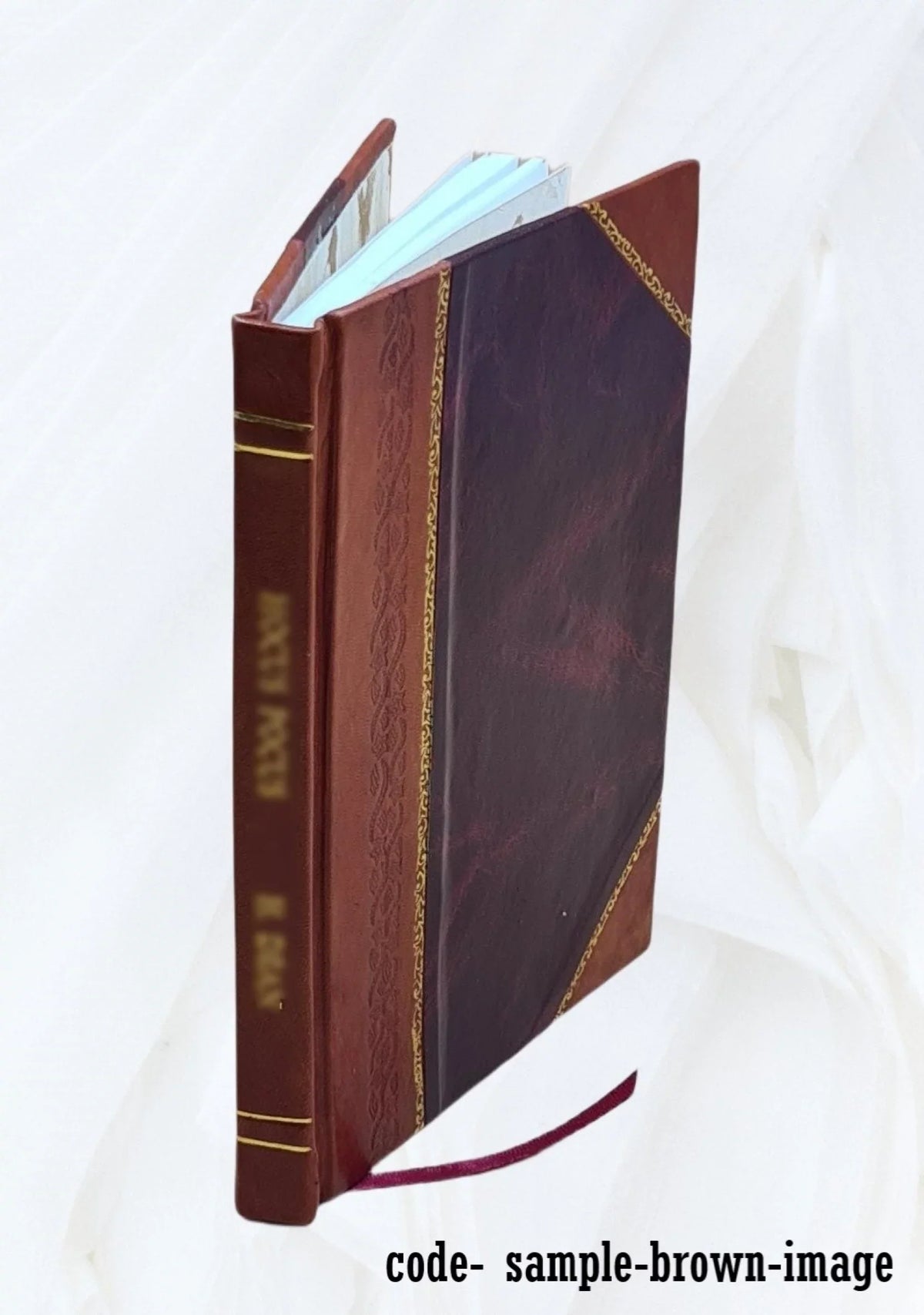 Central of Georgia Railroad Company abandonment between Lafayette and Roanoke, ETAS : environmental impact statement. Volume F 1975 [Leather Bound]
