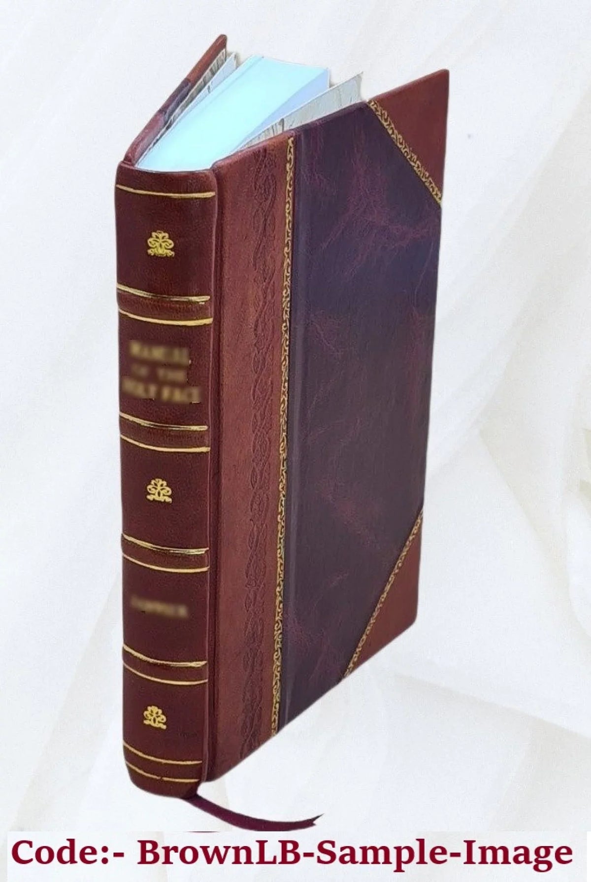 The Frater of Psi Omega. Volume v.5 (1905) 1905 [Leather Bound]