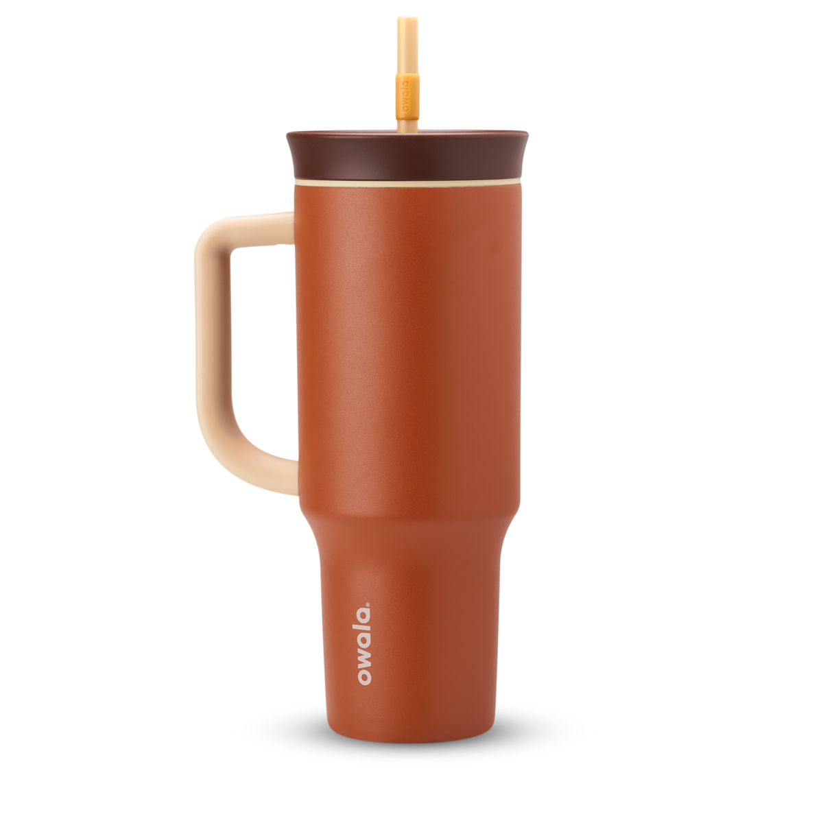 2-in-1 Bottle Brush - Second Set 01